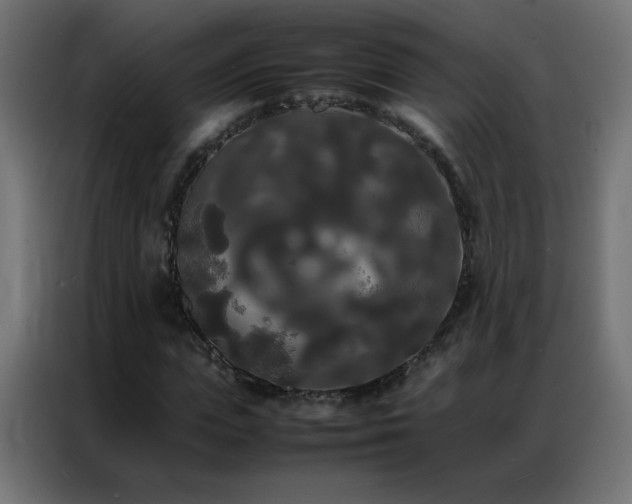 X0000086920823200704161401