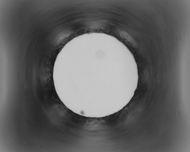 X0000086920824200704161401