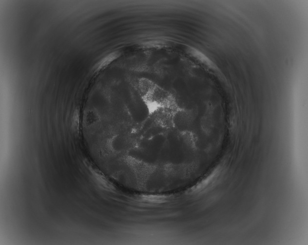X0000086920825200704161401