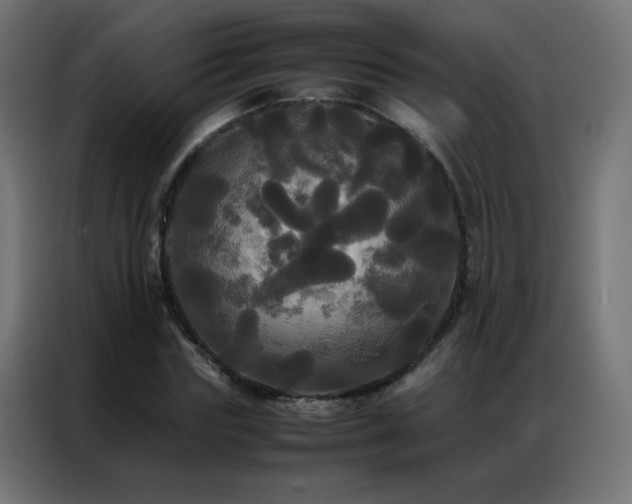 X0000086920827200704161401
