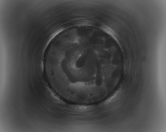 X0000086920829200704161401