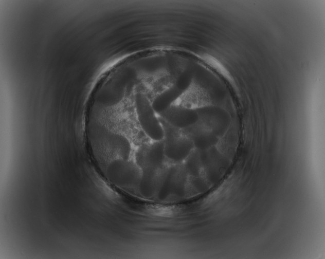 X0000086920831200704161401