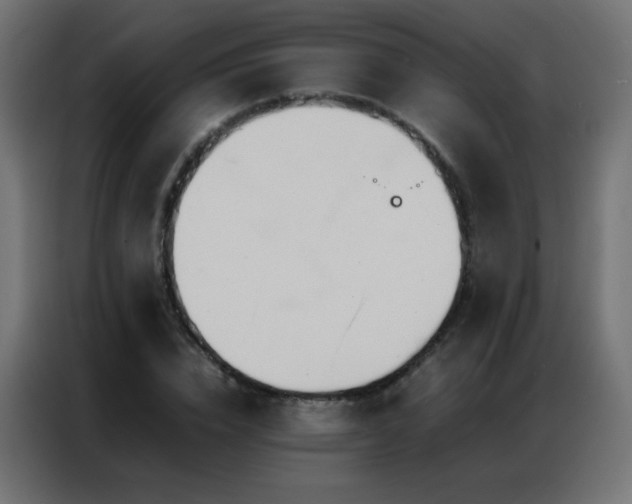 X0000086920832200704161401
