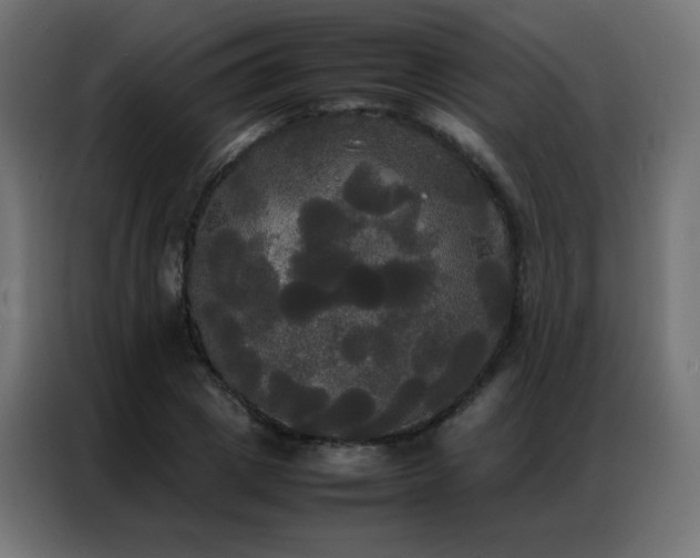 X0000086920833200704161401