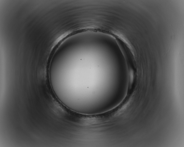 X0000086920834200704161401