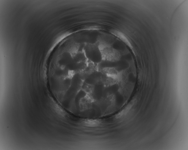 X0000086920835200704161401