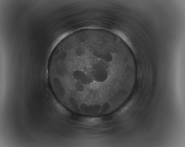 X0000086920837200704161401