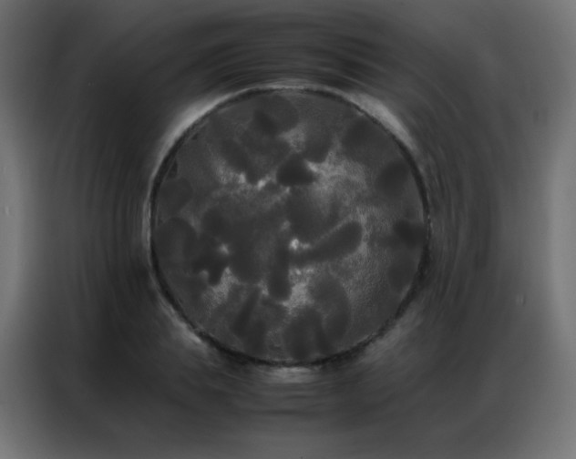 X0000086920839200704161401
