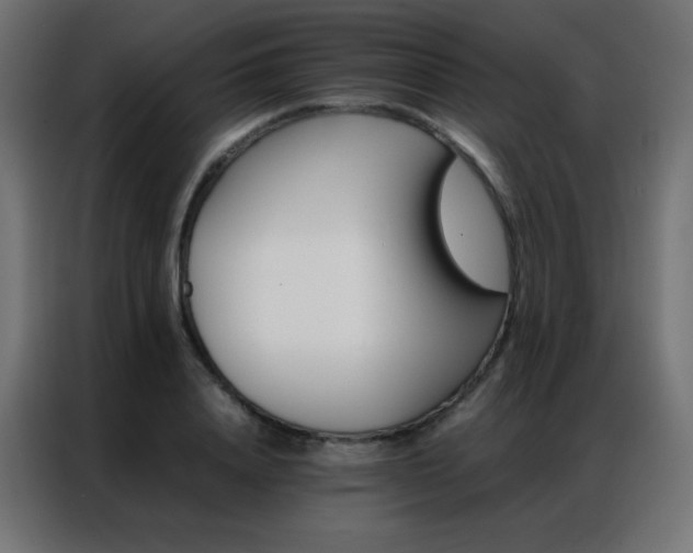 X0000086920840200704161401