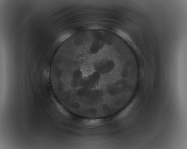 X0000086920841200704161401