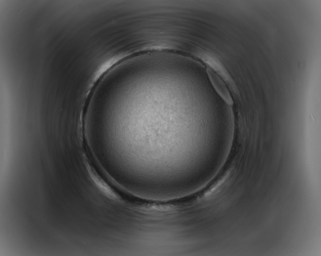 X0000086920842200704161401