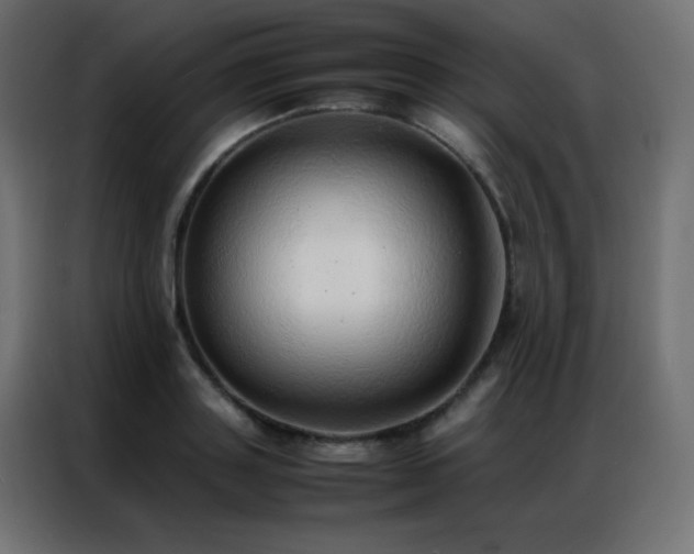 X0000086920843200704161401