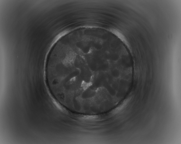X0000086920845200704161401
