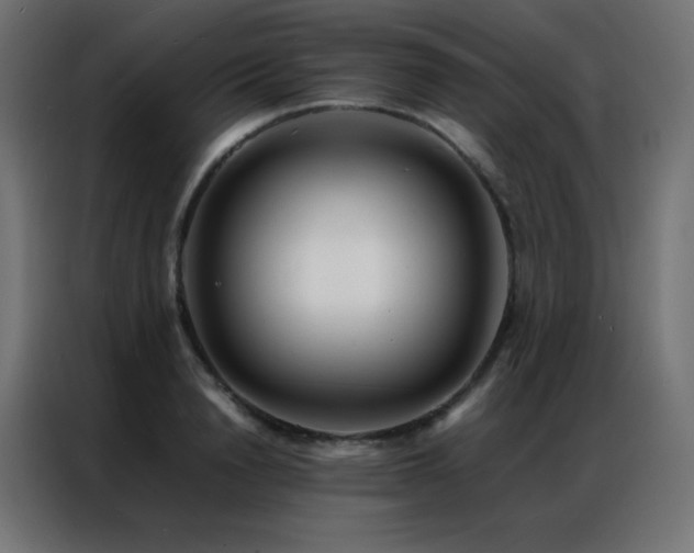 X0000086920846200704161401