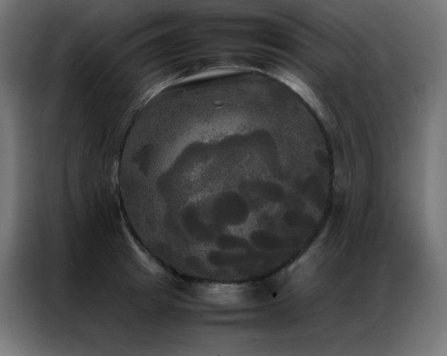X0000086920849200704161401