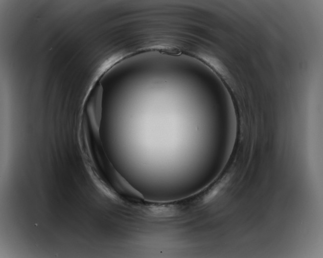 X0000086920850200704161401