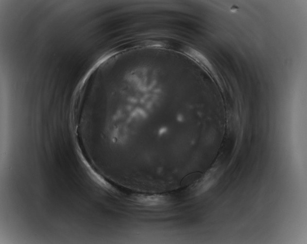X0000086920851200704161401