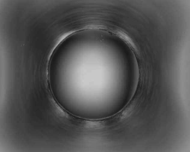 X0000086920852200704161401
