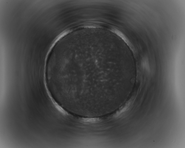 X0000086920853200704161401