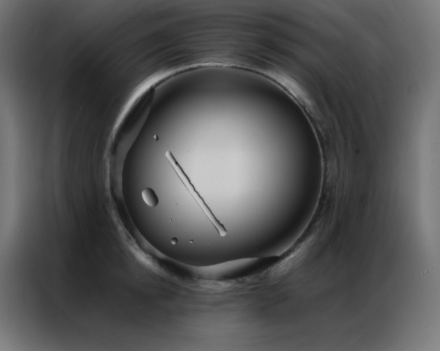 X0000086920854200704161401