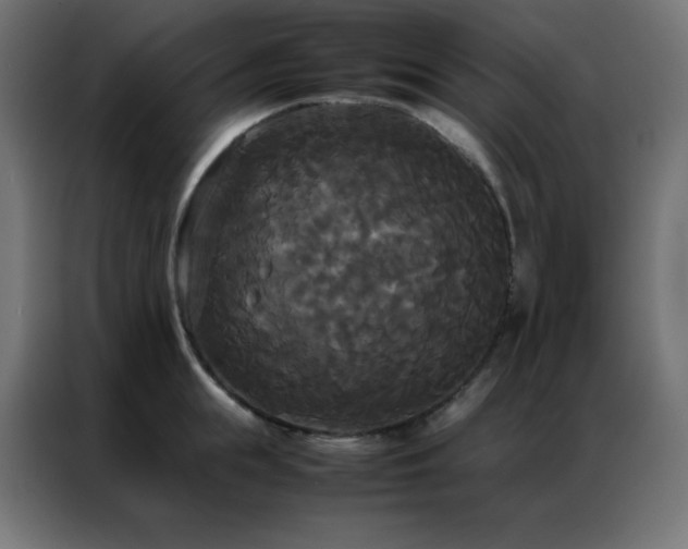 X0000086920855200704161401