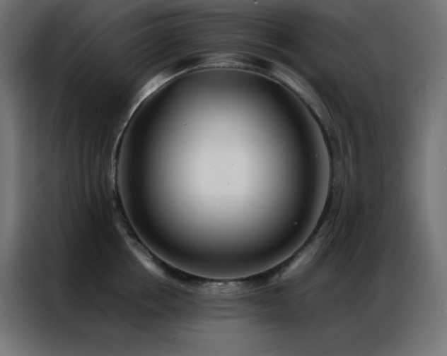 X0000086920858200704161401