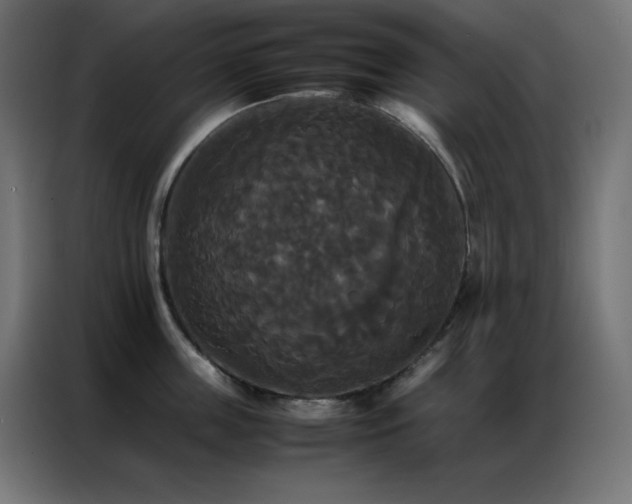 X0000086920859200704161401