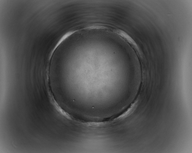 X0000086920860200704161401