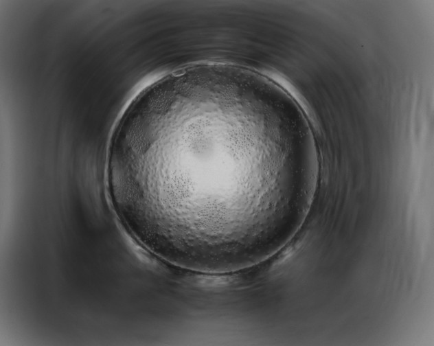 X0000086920861200704161401