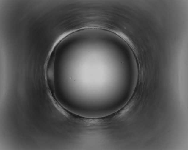 X0000086920862200704161401