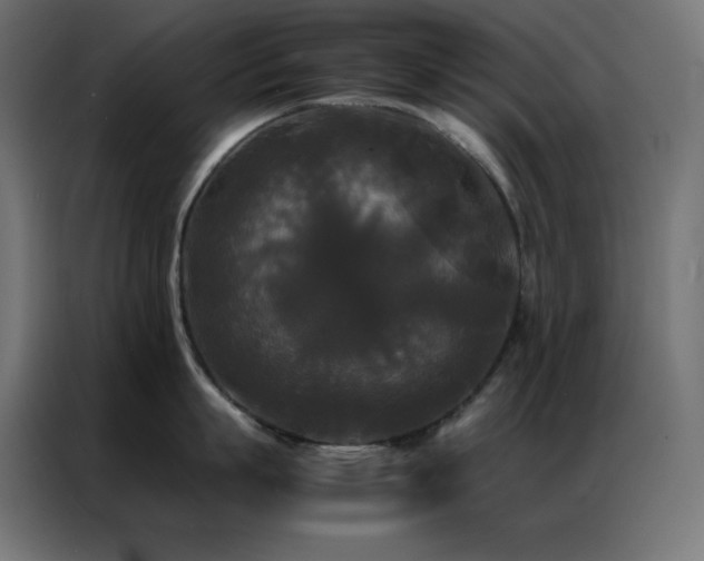 X0000086920863200704161401