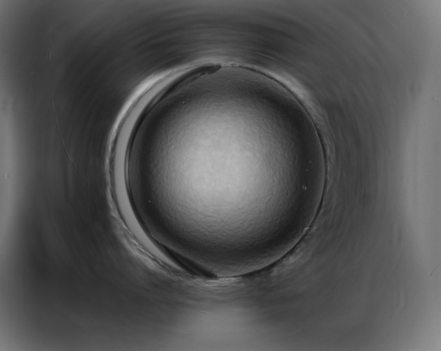 X0000086920864200704161401
