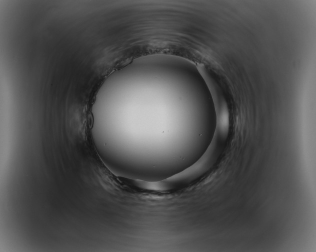 X0000086920868200704161400
