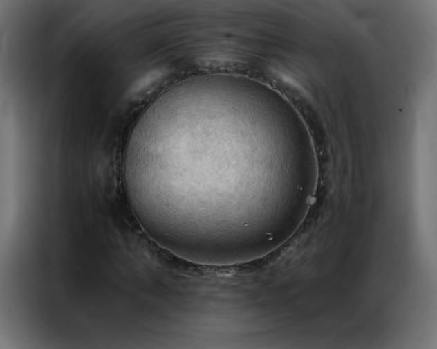 X0000086920870200704161400