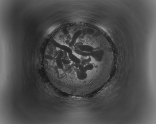 X0000086920871200704161400
