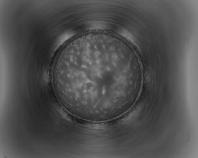 X0000086920874200704161400