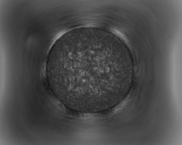 X0000086920875200704161400