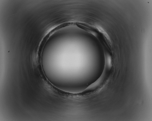 X0000086920876200704161400