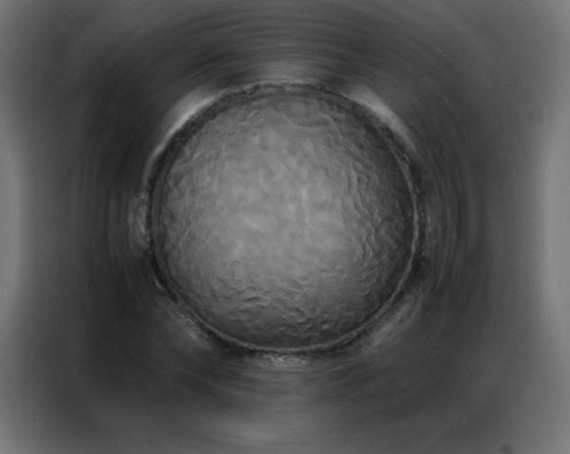 X0000086920878200704161400