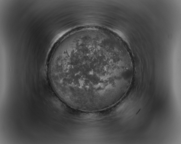 X0000086920879200704161400