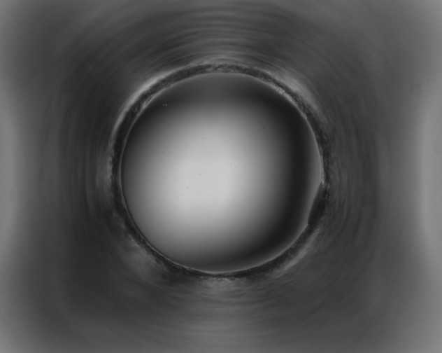 X0000086920880200704161400