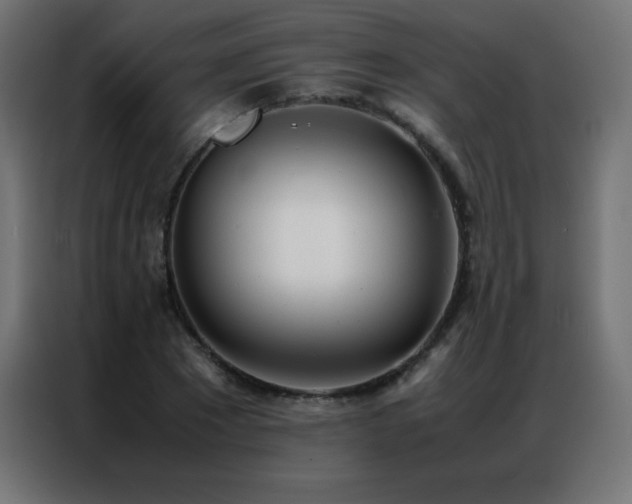 X0000086920881200704161400