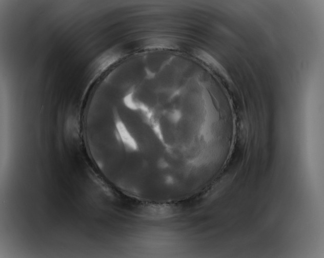 X0000086920882200704161400