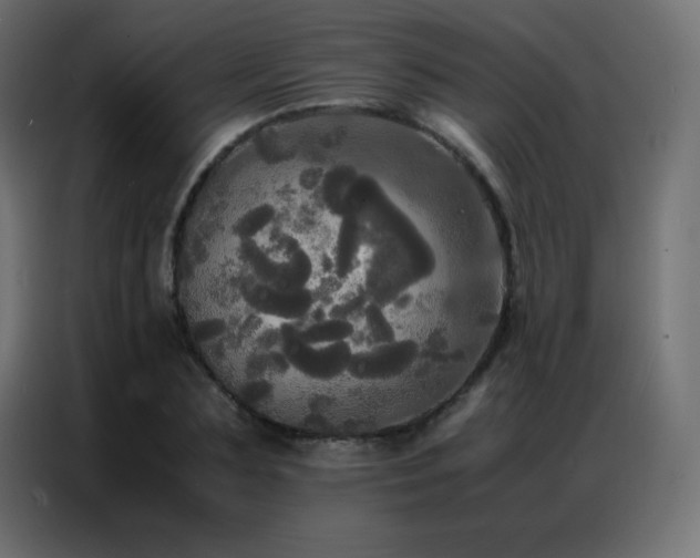 X0000086920883200704161400