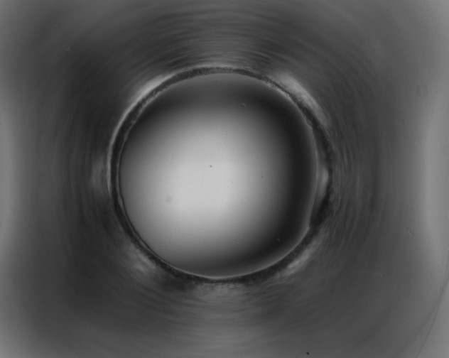 X0000086920884200704161400