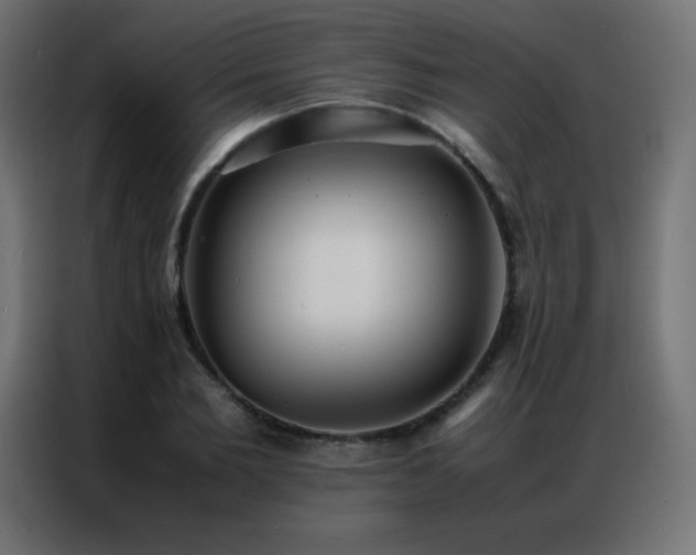 X0000086920885200704161400