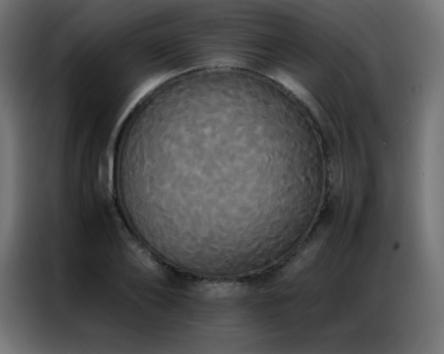 X0000086920886200704161400