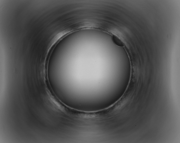 X0000086920890200704161400