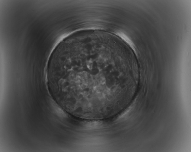 X0000086920891200704161400