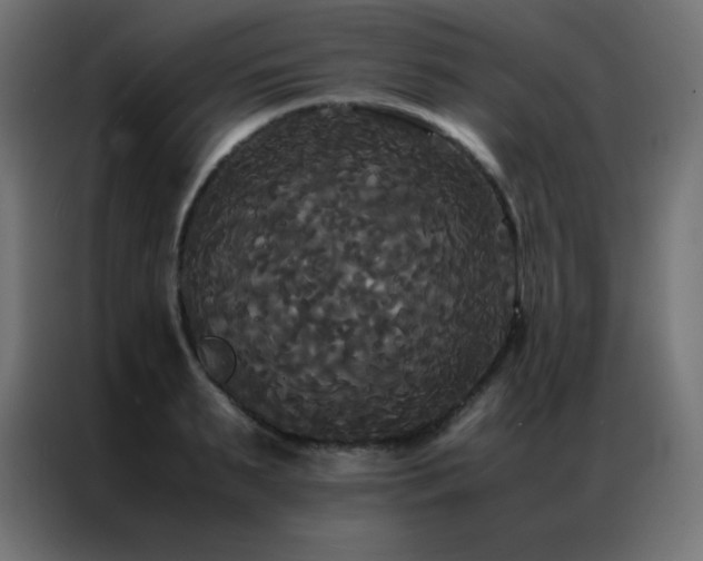 X0000086920895200704161400